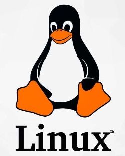 Linux, una de las Mejores Alternativas a Windows