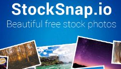 StockSnap, una de las mejores Alternativas de Freepik